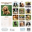 Cocker Spaniel Inglés Cachorros Calendario 2025 Mini