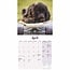 Engelse Cocker Spaniel Puppies Kalender 2025 Mini