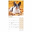 Calendrier Bouledogue Français 2025 Mini