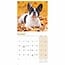 Französische Bulldogge Kalender 2025 Mini