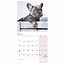 Calendario Bulldog francese 2025 Mini