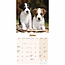 Calendario dei cuccioli di Jack Russell Terrier 2025 Mini