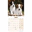 Jack Russell Terrier Welpen Kalender 2025 Mini