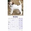 Calendario dei cuccioli di Jack Russell Terrier 2025 Mini