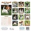 Jack Russell Terrier Welpen Kalender 2025 Mini