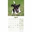 Calendario dei cuccioli di Jack Russell Terrier 2025 Mini