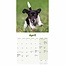 Jack Russell Terrier Cachorros Calendario 2025 Mini