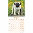 Calendario Pug 2025 Mini