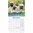 Calendario Pug 2025 Mini