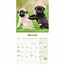 Calendario Pug 2025 Mini