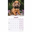 Dachshund-Kalender 2025 Mini