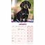 Dachshund-Kalender 2025 Mini