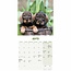 Dachshund-Kalender 2025 Mini