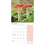 Champignons Calendrier 2025