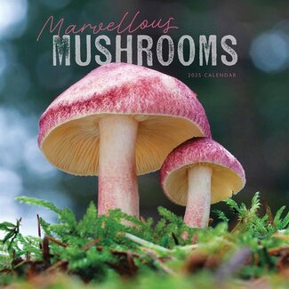 CarouselCalendars Mushrooms Calendar 2025