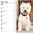 West Highland White Terrier Calendario de Bolsillo 2025