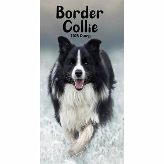 CarouselCalendars Border Collies Agenda de Bolsillo 2025