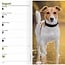 Calendario tascabile Jack Russell Terrier 2025