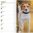 Jack Russell Terrier Agenda de bolsillo 2025