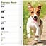 Calendario tascabile Jack Russell Terrier 2025