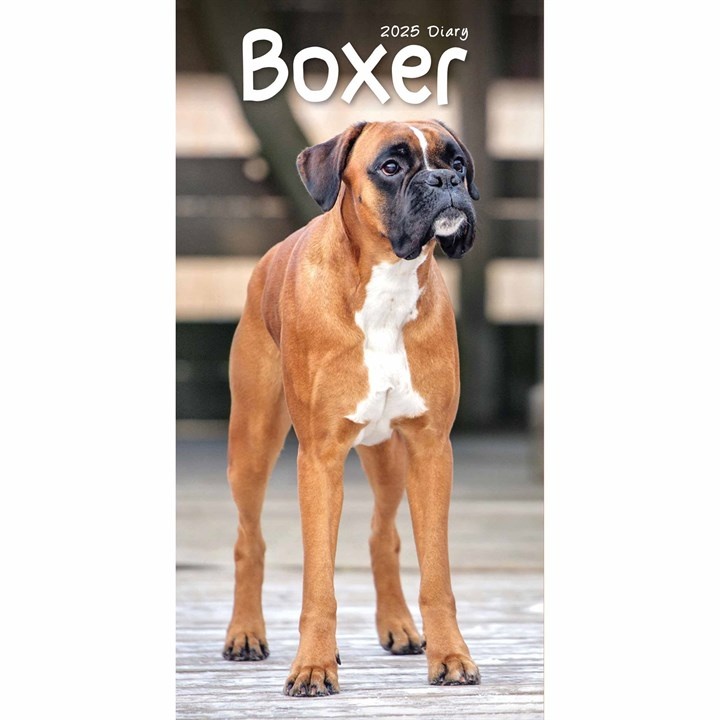 Boxer Pocket Agenda 2025