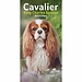 CarouselCalendars Cavalier King Charles Spaniel Taschenkalender 2025