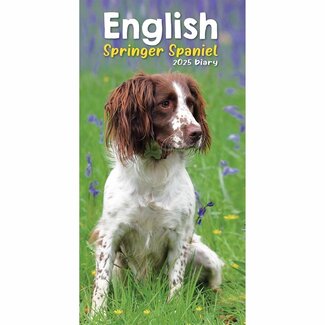 CarouselCalendars Springer Spaniel inglés Agenda de bolsillo 2025