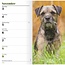 Border Terrier Pocket Agenda 2025