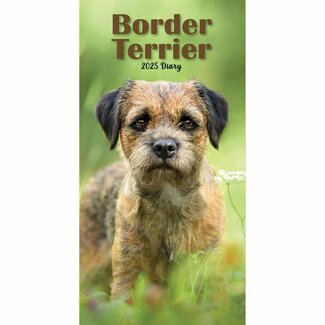 CarouselCalendars Agenda de bolsillo del Border Terrier 2025