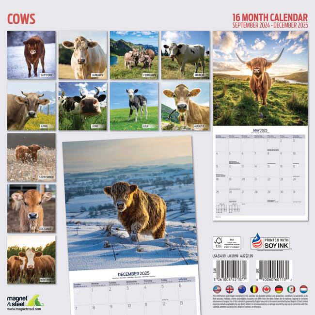 Buying Cows Calendar 2025 Order easily online Kalenderwinkel.nl