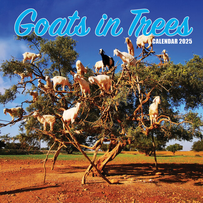 Buy Goats in Trees Calendar 2025 Order online easily Kalenderwinkel.nl