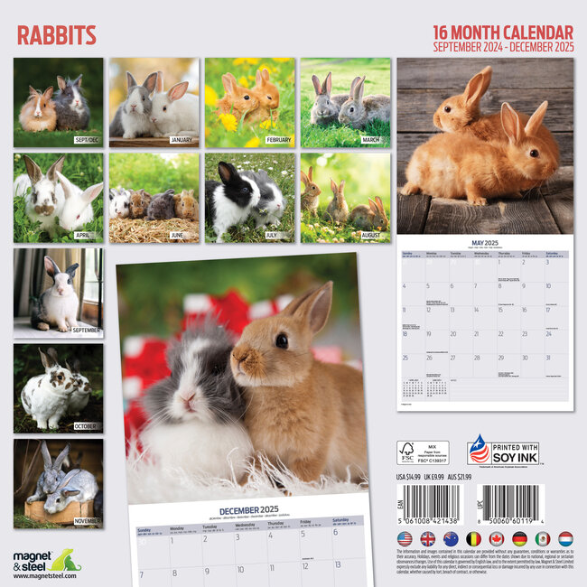 Buy Rabbits Calendar 2025? Order online quickly and easily
