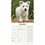 Mini calendario del West Highland White Terrier 2025