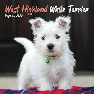 CarouselCalendars West Highland White Terrier Mini Calendar 2025