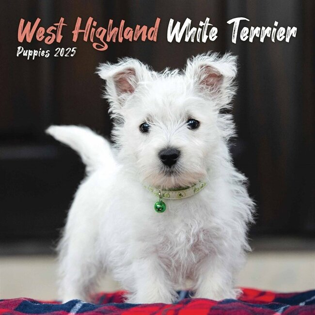 West Highland White Terrier Mini Calendar 2025