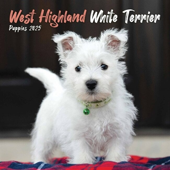 West Highland White Terrier Mini Calendario 2025