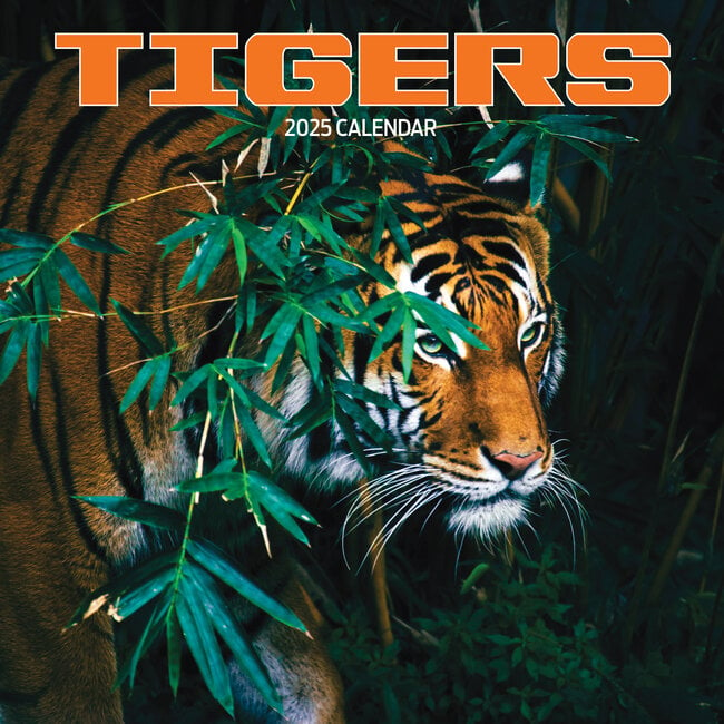 Calendario delle tigri 2025