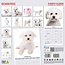 Bichon Frise Calendrier 2025 Moderne