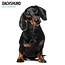 Magnet & Steel Dachshund Modern Calendar 2025