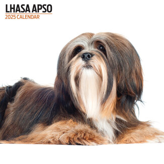 Magnet & Steel Calendario Lhasa Apso 2025 Moderno