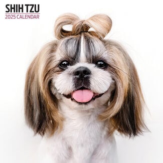 Magnet & Steel Calendario Shih Tzu 2025 Moderno