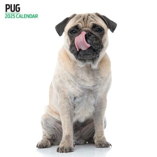 Magnet & Steel Calendario Pug 2025 Moderno