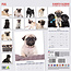 Mops-Kalender 2025 Modern