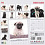 Pug Calendar 2025 Modern