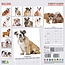 Calendrier Bulldog Anglais 2025 Moderne