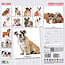 Englische Bulldogge Kalender 2025 Modern