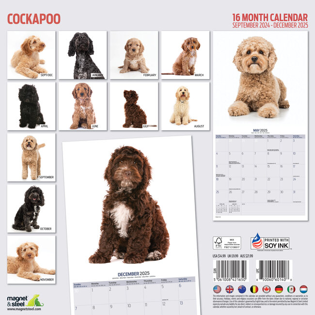 Buy Cockapoo Calendar 2025 Order easily online Kalenderwinkel.nl