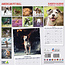 Calendario American Pit Bull Terrier 2025