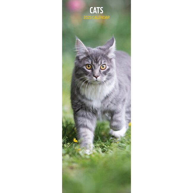 Calendario dei gatti 2025 Slimline