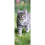 Magnet & Steel Cat Calendar 2025 Slimline